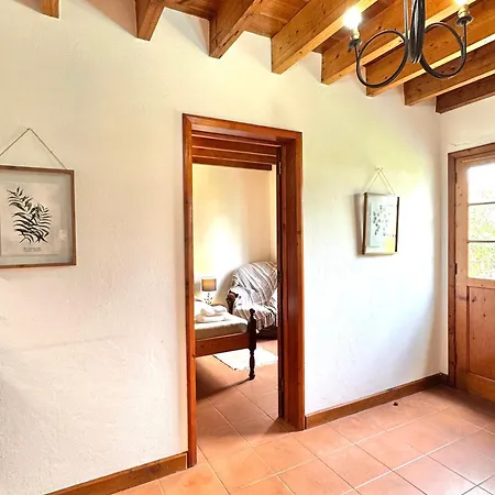 House Holiday home *